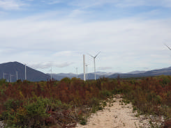 Windpark Padene Kroatien